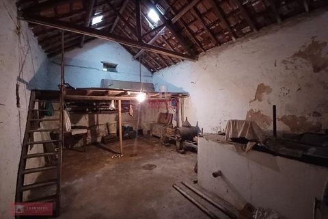 Villa i Ourem, Santarem, Ourem - € 71.500 | Ref: TPH221-20 - foto 4