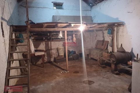 Villa i Ourem, Santarem, Ourem - € 71.500 | Ref: TPH221-20 - foto 5