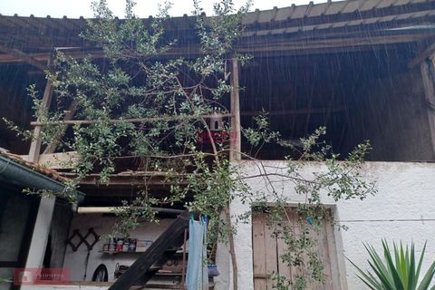 Villa i Ourem, Santarem, Ourem - € 71.500 | Ref: TPH221-20 - foto 8