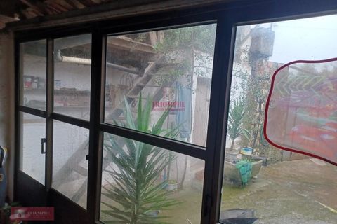 Villa i Ourem, Santarem, Ourem - € 71.500 | Ref: TPH221-20 - foto 11