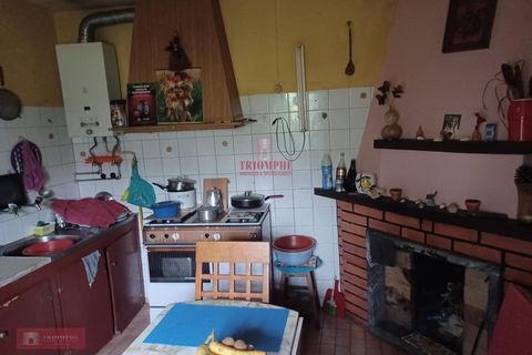 Villa i Ourem, Santarem, Ourem - € 71.500 | Ref: TPH221-20 - foto 14