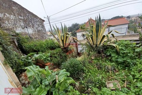 Villa i Ourem, Santarem, Ourem - € 71.500 | Ref: TPH221-20 - foto 17