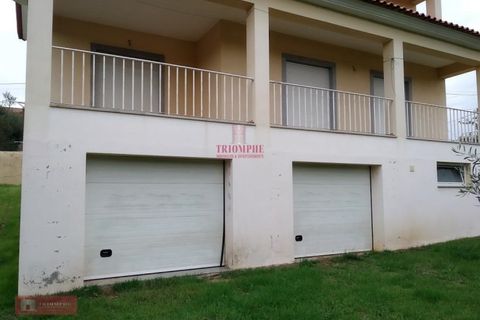 Villa a Casegas e Ourondo, Castelo Branco, Casegas e Ourondo - € 245.000 | Ref: TPH001-228 - foto 8