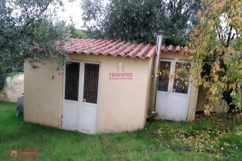 Villa a Casegas e Ourondo, Castelo Branco, Casegas e Ourondo - € 245.000 | Ref: TPH001-228 - foto 11