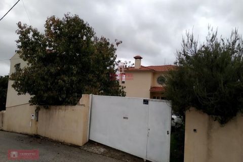 Villa a Casegas e Ourondo, Castelo Branco, Casegas e Ourondo - € 245.000 | Ref: TPH001-228 - foto 13