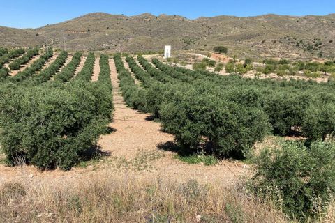 Tomt i Sorbas, Almeria, Sorbas - € 88 500 | Ref: SOR324 - foto 5