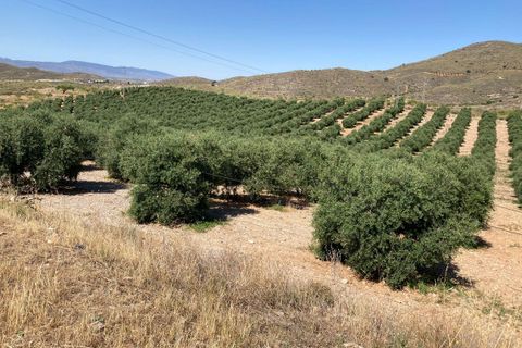 Tomt i Sorbas, Almeria, Sorbas - € 88 500 | Ref: SOR324 - foto 6
