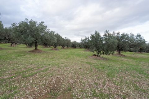 Finca a Roquetes, Tarragona, Roquetes - € 85.000 | Ref: 783 - foto 7