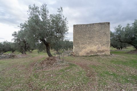 Finca a Roquetes, Tarragona, Roquetes - € 85.000 | Ref: 783 - foto 6