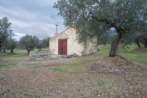 Finca a Roquetes, Tarragona, Roquetes - € 85.000 | Ref: 783 - foto 3