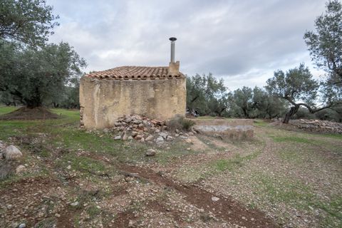 Finca a Roquetes, Tarragona, Roquetes - € 85.000 | Ref: 783 - foto 4