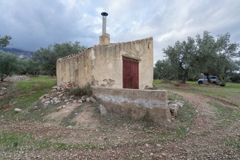 Finca a Roquetes, Tarragona, Roquetes - € 85.000 | Ref: 783 - foto 2