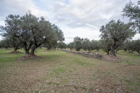 Finca a Roquetes, Tarragona, Roquetes - € 85.000 | Ref: 783 - foto 8