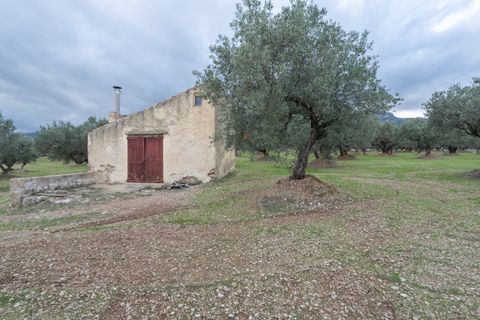 Finca a Roquetes, Tarragona, Roquetes - € 85.000 | Ref: 783 - foto 5