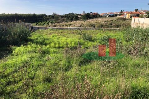 Helårsgrund i Santo Onofre e Serra do Bouro, Leiria, Santo Onofre e Serra do Bouro - € 159.500 | Ref: 748.22 - foto 12