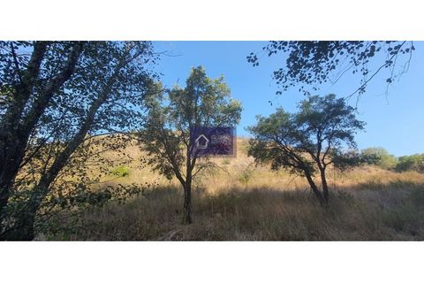 Helårsgrund i Monchique, Faro, Monchique - € 122.000 | Ref: GS17486GC - foto 10