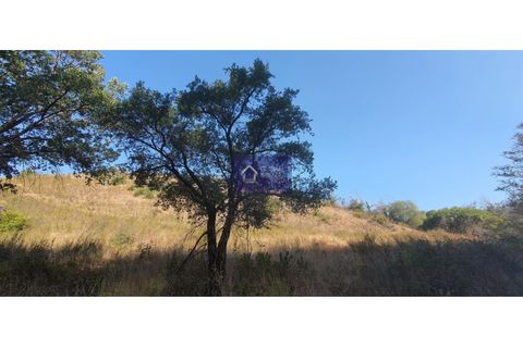 Helårsgrund i Monchique, Faro, Monchique - € 122.000 | Ref: GS17486GC - foto 11
