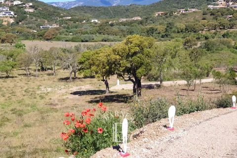 Terra a Sainte-Lucie de Porto-Vecchio, Corse-du-Sud - foto 2
