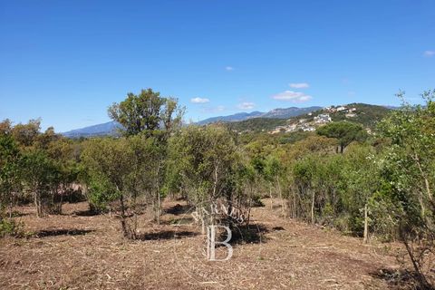 Terra a Sainte-Lucie de Porto-Vecchio, Corse-du-Sud - foto 3