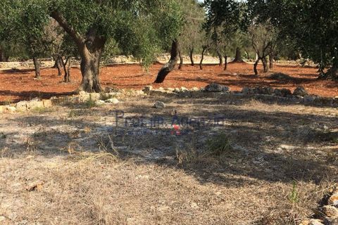 Landejendom i Ostuni, Brindisi, Ostuni - € 350.000 | Ref: 172150 - foto 10