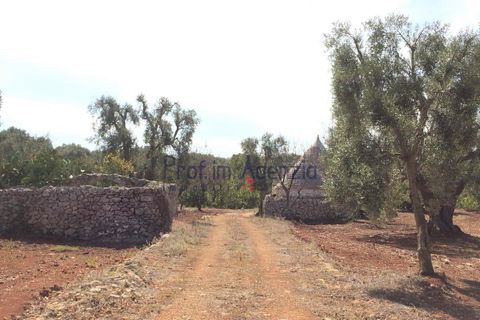 Landejendom i Ostuni, Brindisi, Ostuni - € 350.000 | Ref: 172150 - foto 9