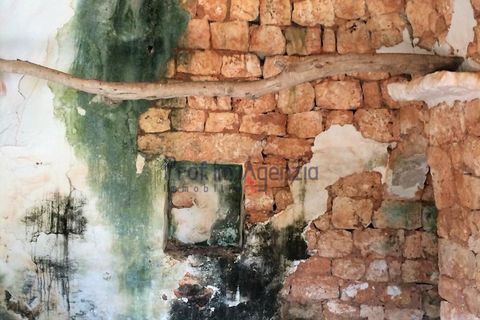 Landejendom i Ostuni, Brindisi, Ostuni - € 350.000 | Ref: 172150 - foto 2