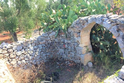Landejendom i Ostuni, Brindisi, Ostuni - € 350.000 | Ref: 172150 - foto 11