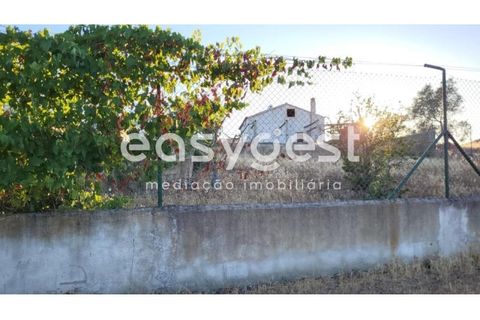 Farm hus i Ourique, Beja, Ourique - € 695.000 | Ref: BJ90676 - foto 20