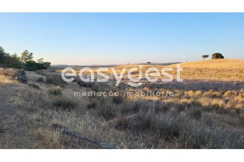 Farm hus i Ourique, Beja, Ourique - € 695.000 | Ref: BJ90676 - foto 21