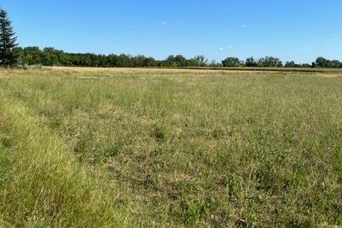 Terra a Baule, Loiret, Baule - € 69.000 | Ref: MV_BAULE_06 - foto 2