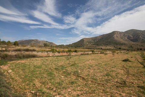 Helårsgrund i Alguena, Alicante, Alguena - € 65.000 | Ref: MM05426/7663 - foto 3