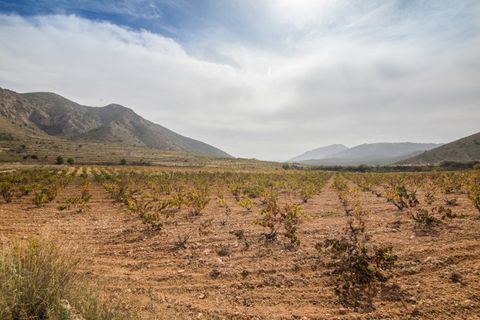 Helårsgrund i Alguena, Alicante, Alguena - € 65.000 | Ref: MM05426/7663 - foto 7