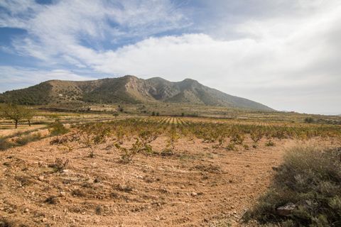 Helårsgrund i Alguena, Alicante, Alguena - € 65.000 | Ref: MM05426/7663 - foto 8