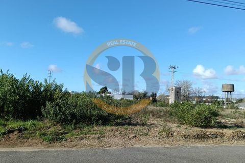Helårsgrund i Ovar, Aveiro, Ovar - € 95.000 | Ref: T/0727 - foto 3