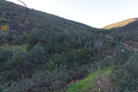 Helårsgrund i Silves, Faro, Silves - € 102.000 | Ref: 09-3-3 - foto 2