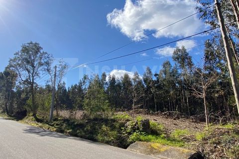 Helårsgrund i Caminha, Viana do Castelo, Caminha - € 125.000 | Ref: 2141 - foto 2