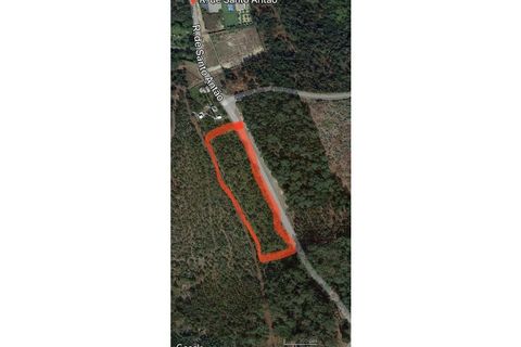 Helårsgrund i Caminha, Viana do Castelo, Caminha - € 125.000 | Ref: 2141 - foto 9