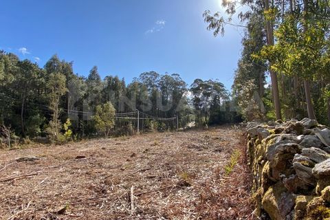 Helårsgrund i Caminha, Viana do Castelo, Caminha - € 125.000 | Ref: 2141 - foto 1