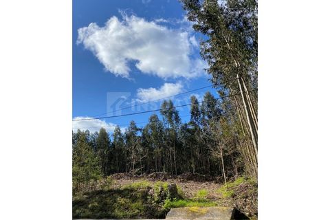 Helårsgrund i Caminha, Viana do Castelo, Caminha - € 125.000 | Ref: 2141 - foto 3