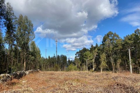 Helårsgrund i Caminha, Viana do Castelo, Caminha - € 125.000 | Ref: 2141 - foto 5
