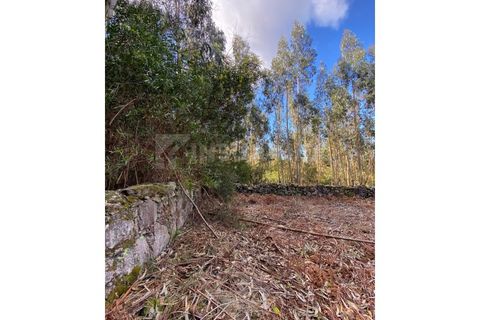 Helårsgrund i Caminha, Viana do Castelo, Caminha - € 125.000 | Ref: 2141 - foto 6