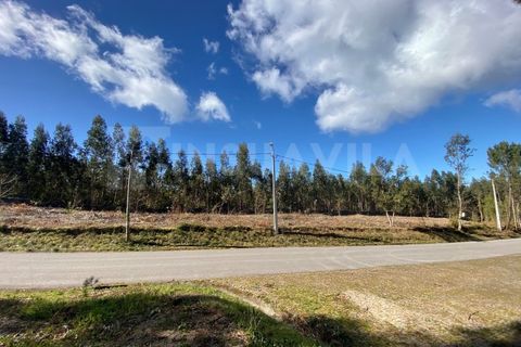 Helårsgrund i Caminha, Viana do Castelo, Caminha - € 125.000 | Ref: 2141 - foto 8