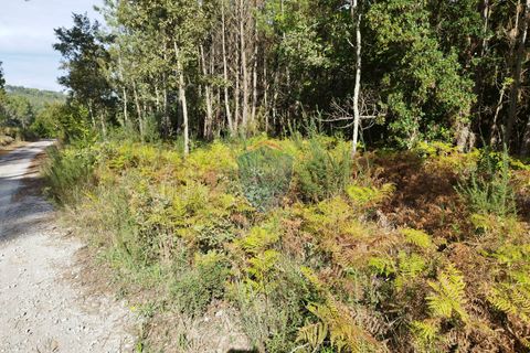 Helårsgrund i Viseu, Viseu, Viseu - € 154.000 | Ref: 1970/V - foto 3