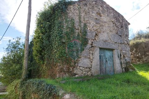 Helårsgrund i Viseu, Viseu, Viseu - € 154.000 | Ref: 1970/V - foto 5