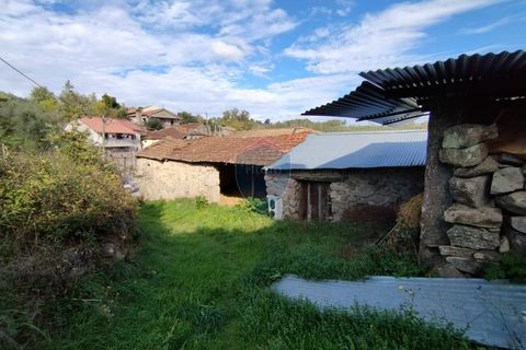 Helårsgrund i Viseu, Viseu, Viseu - € 154.000 | Ref: 1970/V - foto 7