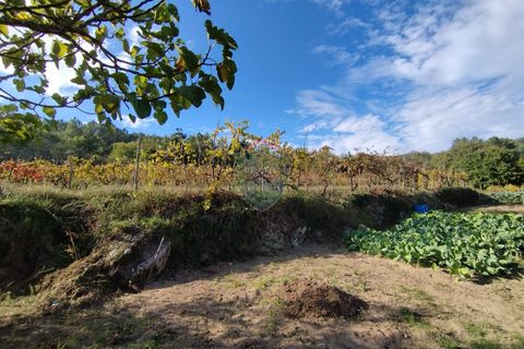 Helårsgrund i Viseu, Viseu, Viseu - € 154.000 | Ref: 1970/V - foto 13
