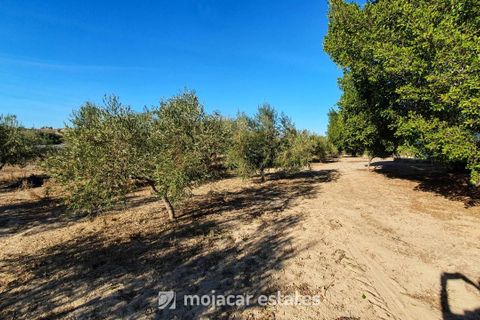 Villa i Mojacar, Almeria, Mojacar - € 320.000 | Ref: ME 2617 - foto 14