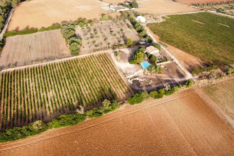 Herregård i Sencelles, Mallorca, Sencelles - € 1 800 000 | Ref: 1483 - foto 6