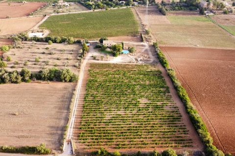 Herregård i Sencelles, Mallorca, Sencelles - € 1 800 000 | Ref: 1483 - foto 7