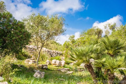 Finca i Son Servera, Mallorca, Son Servera - € 3.200.000 | Ref: 10022 - foto 35